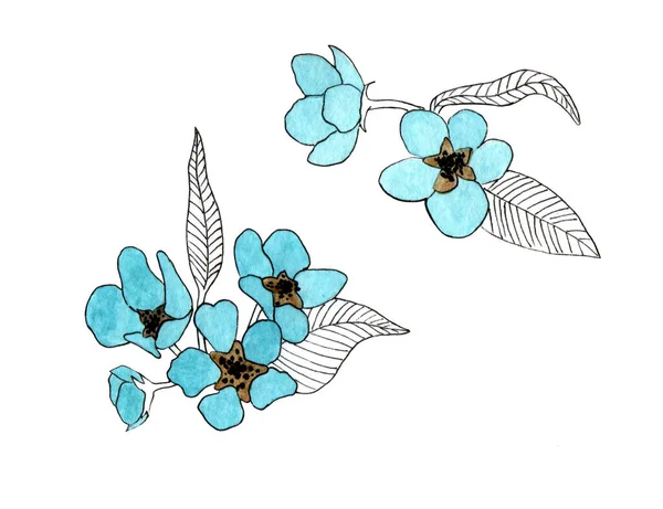 Turquesa Flores Decorativas Aquarela Elementos Desenhados Mão Para Design Cartões — Fotografia de Stock