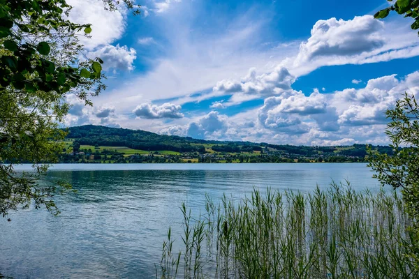Beautiful view of the lake hallwil  - Meisterschwanden, Switzerland