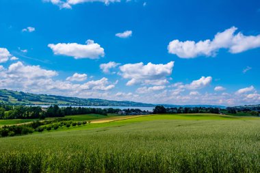 Göl manzaralı güzel bir manzara - Sempach, İsviçre