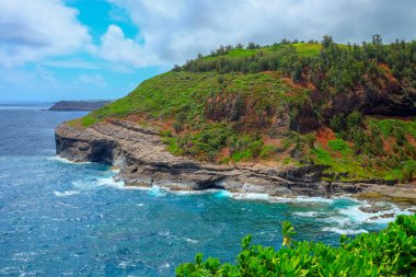 Kilauea Point, Kauai, Hawaii
