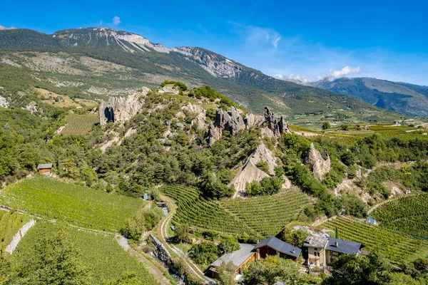 Landscape Of Vineyard - Veyras, Switzerland