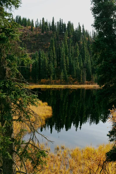 Denali Milli Parkı Nda Yansıyan Göl — Stok fotoğraf