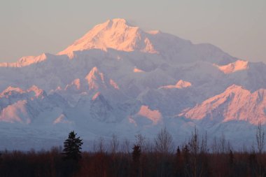 Denali gün batımında, Denali State Park, Alaska 'dan.