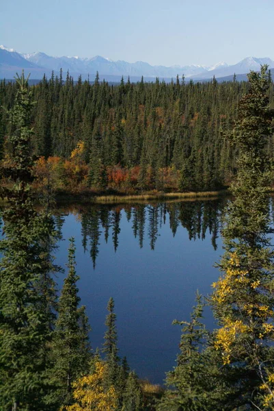 Riflessioni Autunnali Uno Stagno Alaska — Foto Stock