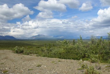 Susitna Nehri yakınlarındaki Denali Otoyolu 'ndaki Monohan Düzlükleri