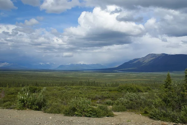 Susitna Nehri Yakınlarındaki Denali Otoyolu Ndaki Monohan Düzlükleri — Stok fotoğraf