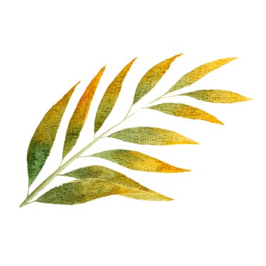 Tropikal sarı yaprak suluboya, sonbahar ve doğa konsepti, vektör eps10.