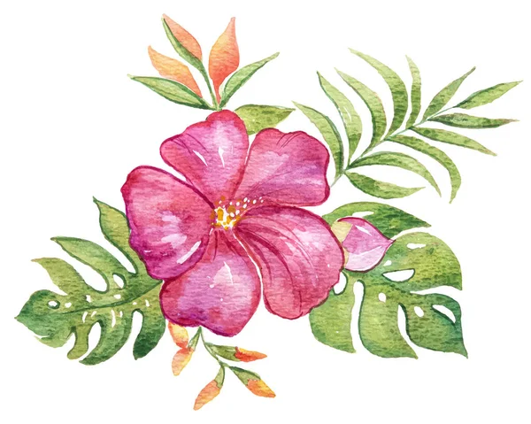 芙蓉花束的水彩画 夏天与自然的概念 — 图库矢量图片