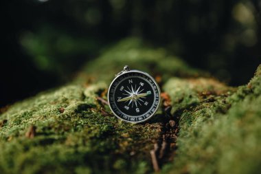 Compass on moss in the fertile forest, Hiking and travel concept.