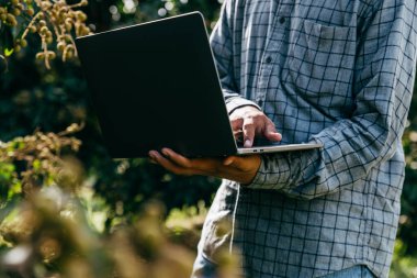 Çiftçi, çiftçilik, finans ve tarım kavramlarındaki olgunlaşmamış longan verilerini dizüstü bilgisayarla kontrol ediyor.