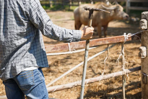 彼の農場 家畜の概念でフォークを保持する農家 — ストック写真