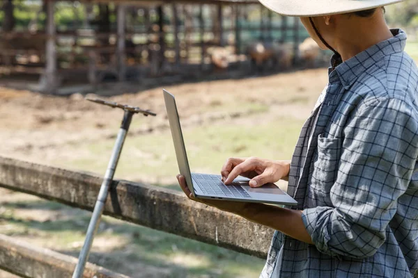 彼の農場 家畜の概念でコンピュータのラップトップを使用している農家 — ストック写真