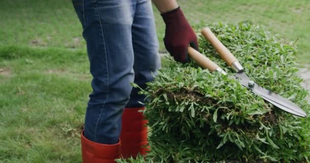 Young Man Gardening Preparing Grass Carpet Plant Lawn Nature Green — Stockvideo