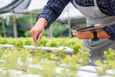 Young farmer working with tablet in organic farm. Agriculture technology and smart farming concept.