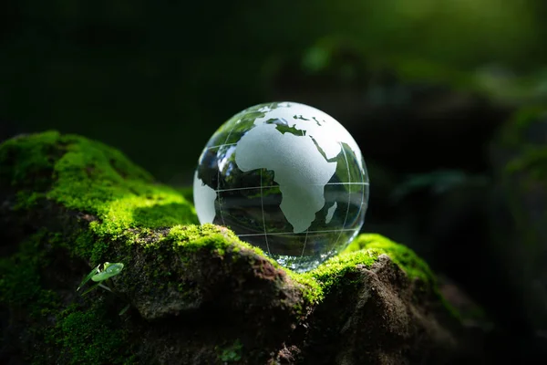 Crystal globe putting on moss, ecology and environment sustainable concept.
