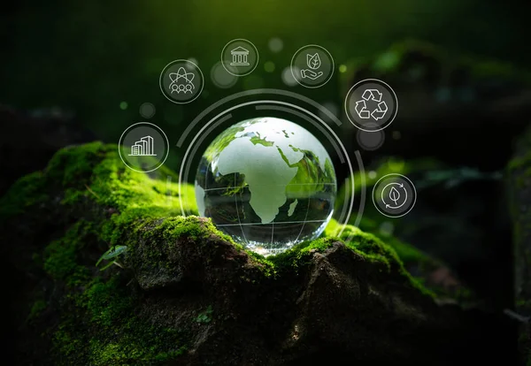 Crystal globe putting on moss, ESG icon for Environment Social and Governance, World sustainable environment concept.