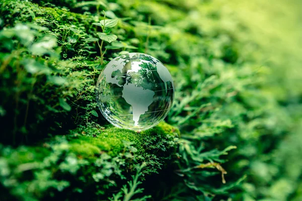 Crystal globe putting on moss, ecology and environment sustainable concept.