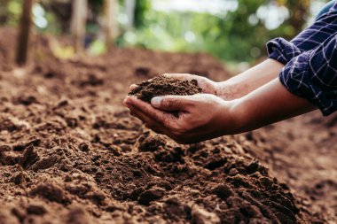 Hand of farmer inspecting soil health before planting in organic farm. Soil quality Agriculture, gardening concept.