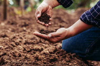 Hand of farmer inspecting soil health before planting in organic farm. Soil quality Agriculture, gardening concept.