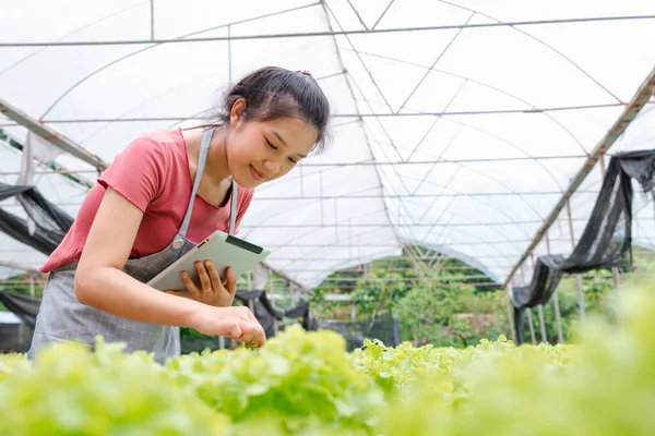 Woman Farmer Working Digital Tablet Inspecting Fresh Vegetable Organic Farm — Stockfoto
