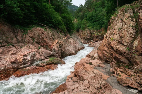 Granite Canyon Belaya River Picturesque Natural Monument Western Caucasus Maikop — Stockfoto