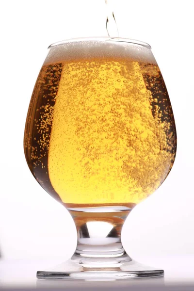 Beyaz üzerine izole edilmiş bir bardak bira.