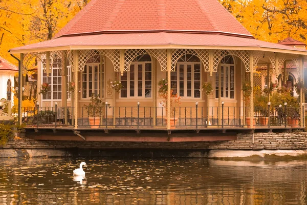 Swan Pond Front Luxurious House — Zdjęcie stockowe