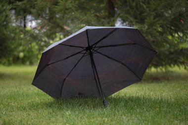 Açıklıkta duran siyah bir şemsiye.