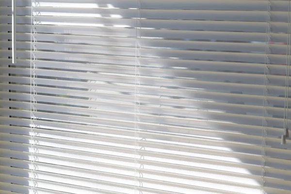 Ofisteki beyaz panjurlar