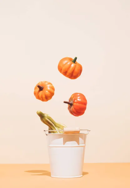 Renkli sonbahar balkabaklarıyla bej arka planda beyaz bir kova. Yaratıcı Cadılar Bayramı ya da Şükran Günü konsepti. Asgari mevsimlik kavram.