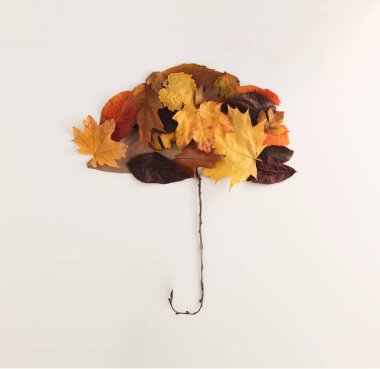 Beyaz arka planda şemsiye şeklinde sonbahar yaprakları. Düz kompozisyon. Hava durumu. Asgari doğa mevsimlik kavramı.