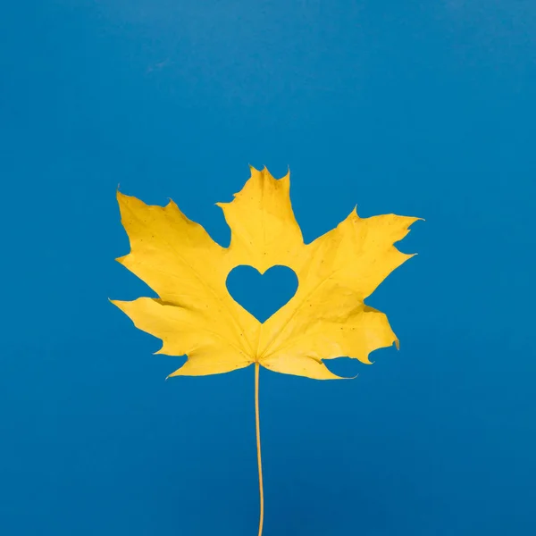 Hoja Color Amarillo Otoño Con Forma Corazón Sobre Fondo Azul — Foto de Stock