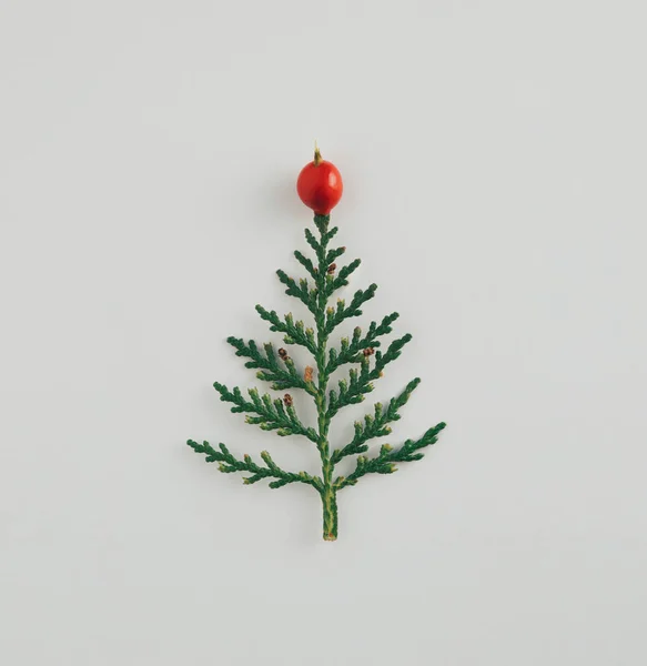 Beyaz arka planda bitkiden yapılmış minimalist Noel ağacı. Düz yatıyordu. Yeni yıl doğası minimum konsept.