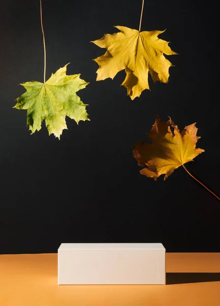 Karanlık arka planda podyum ve sonbahar yapraklarıyla modern sonbahar ürünleri sergileniyor. Ürün Gösterimi ve İş Konsepti için uygundur. Kara Cuma fikri.