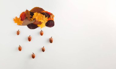 Sonbahar yaprakları bulutlu ve beyaz arka planda yağmur var. Palamutlu düz kompozisyon. Hava durumu. Asgari doğa mevsimi konsepti. Boşluğu kopyala.