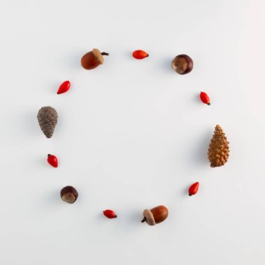 Doğal kış ve sonbahar şeylerinden yapılmış yaratıcı bir Noel çerçevesi ya da çelengi. Düz yatıyordu. Tatil konsepti. Boşluğu kopyala.