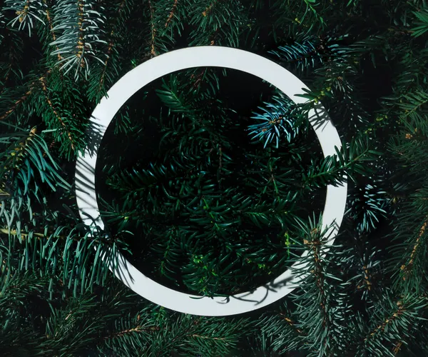 2022 Boldog Karácsonyt Boldog Évet Háttér Örökzöld Faágak Kreatív Elrendezés — Stock Fotó