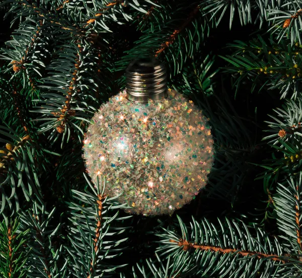 Shiny Christmas Bauble Evergreen Tree Branches Creative Layout Christmas Minimal — Stock Photo, Image