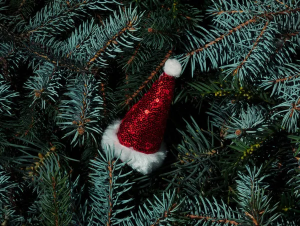 Красная Шапка Деда Мороза Вечно Зелеными Ветвями Деревьев Рождество Минимальная — стоковое фото