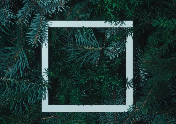 Mutlu Noeller ve sonsuz yeşil ağaç dalları yaratıcı planıyla mutlu yıllar. Doğa yassı konsept. Boşluğu kopyala.