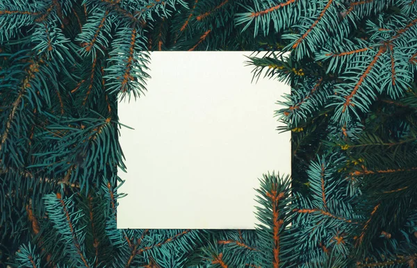 Kreatív Elrendezés Téli Örökzöld Faágakból Papírral Vagy Üdvözlőkártyával Természet Karácsonyi — Stock Fotó