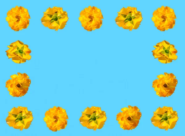 Kreatywna Wiosenna Lub Letnia Rama Wykonana Żółtych Kwiatów Róż Błękitnym — Zdjęcie stockowe