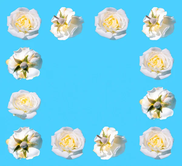 Cadre Créatif Printemps Été Réalisé Avec Des Fleurs Blanches Roses — Photo