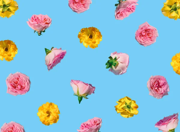 Motif Créatif Réalisé Avec Des Fleurs Rose Pastel Rose Jaune — Photo