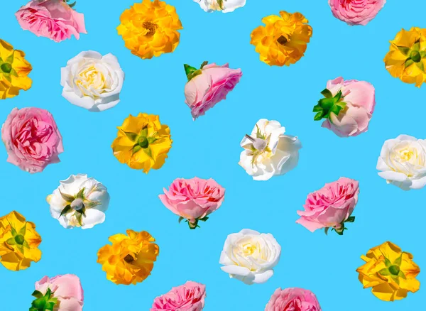 Mavi arka planda renkli çiçeklerle yaratılmış yaratıcı desen. Asgari bahar konsepti. Sevgililer Günü ya da 8 Mart fikri. Anneler Günü için fikir.