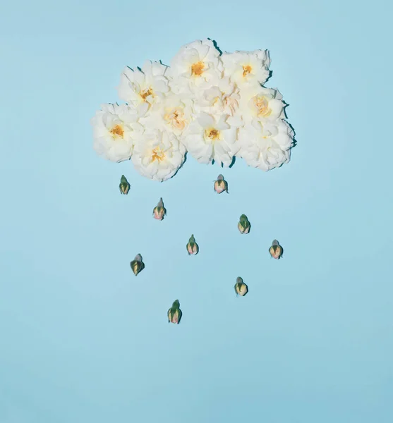 Λευκό Σύννεφο Και Βροχή Γίνεται Τριαντάφυλλο Λουλούδια Και Μπουμπούκια Μπλε — Φωτογραφία Αρχείου