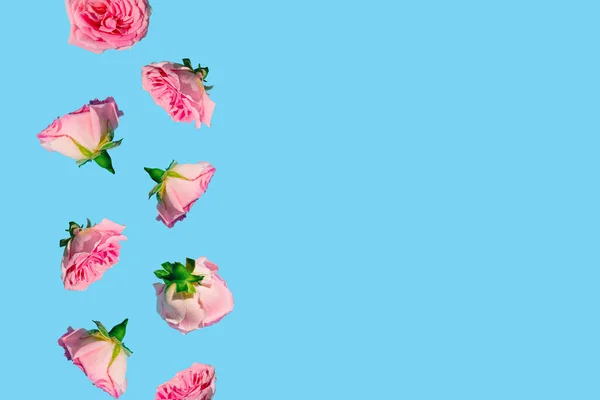 Padrão Criativo Feito Com Flores Rosa Pastel Fundo Azul Céu — Fotografia de Stock