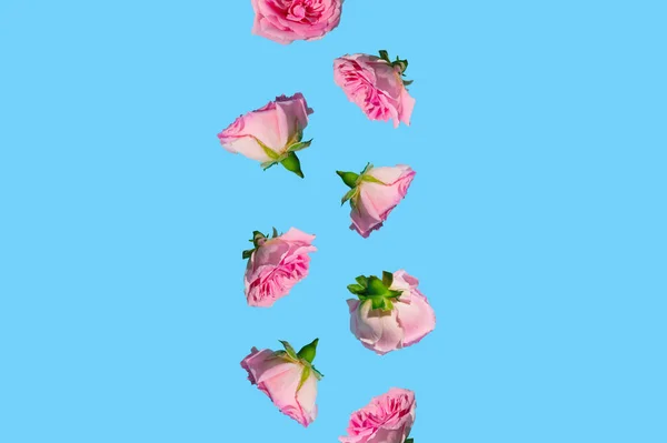 Padrão Criativo Feito Com Flores Rosa Pastel Fundo Azul Céu — Fotografia de Stock