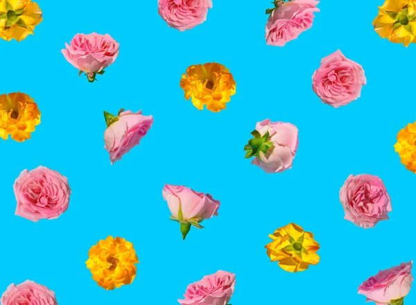 Motif Créatif Réalisé Avec Des Fleurs Rose Pastel Rose Jaune — Photo
