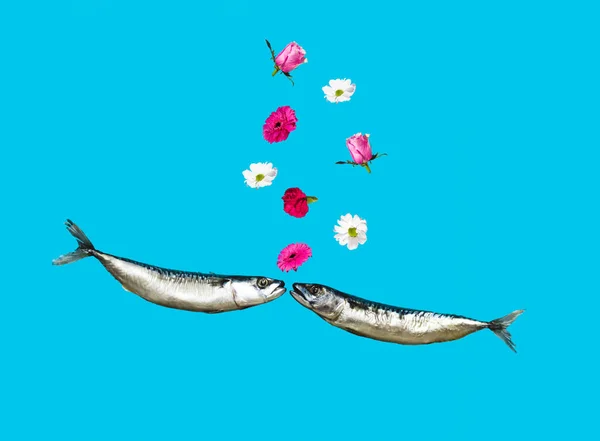 Różne Kwiaty Dwie Ryby Całują Się Pastelowym Niebieskim Tle Kreatywne — Zdjęcie stockowe